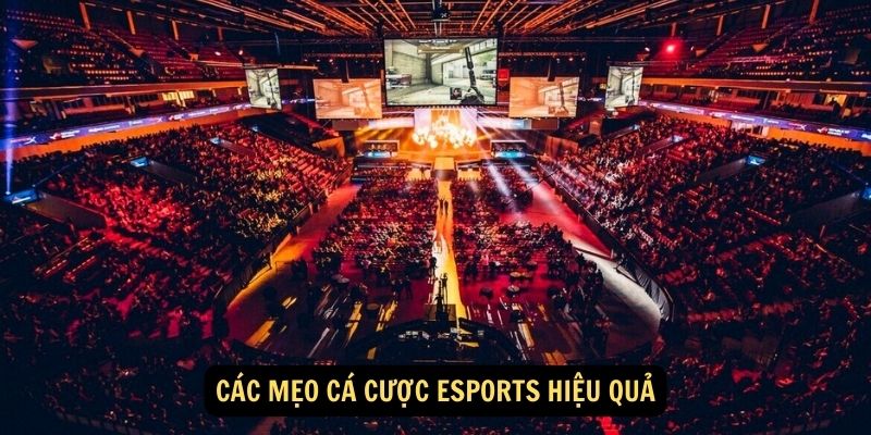 Các mẹo cá cược Esports hiệu quả