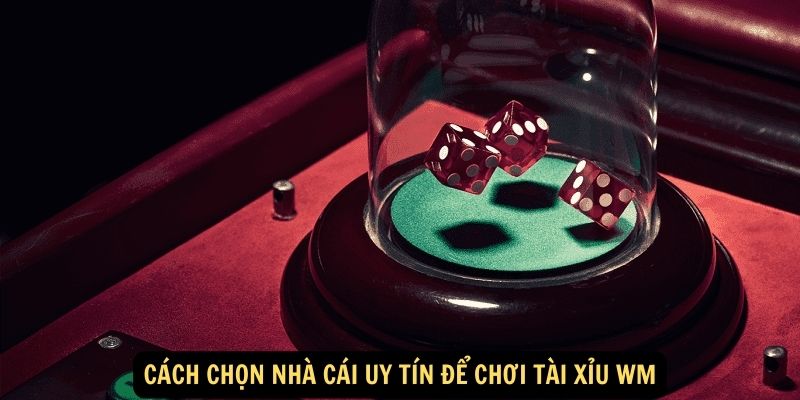 Cách chọn nhà cái uy tín để chơi Tài Xỉu WM