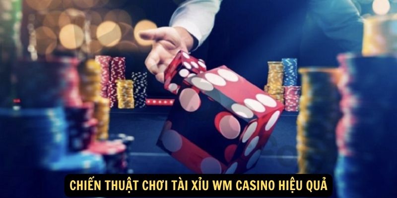 Chiến thuật chơi tài xỉu WM Casino hiệu quả