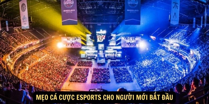 Mẹo cá cược Esports cho người mới bắt đầu