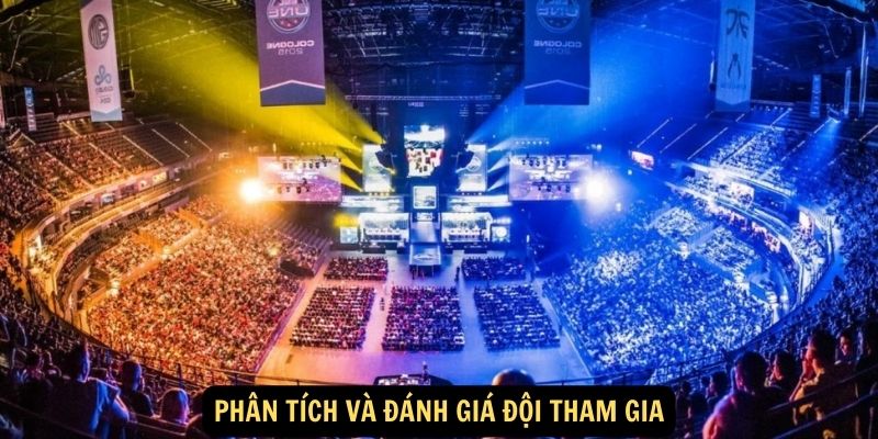 Phân tích và đánh giá đội tham gia