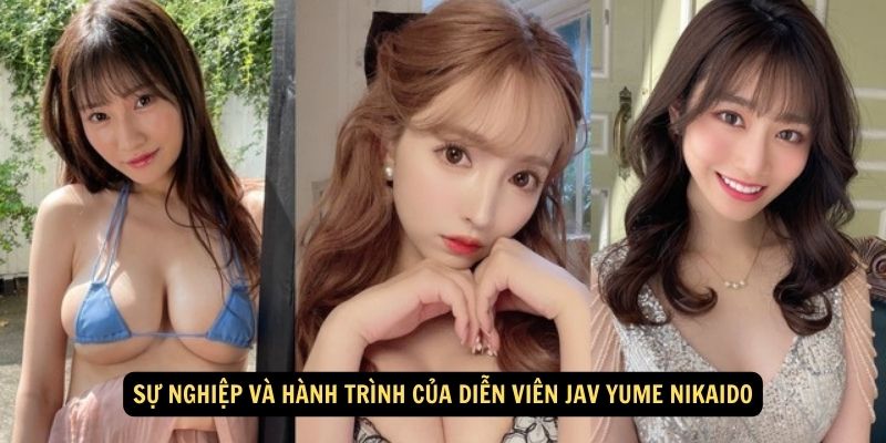 Su nghiep va hanh trinh cua dien vien JAV Yume Nikaido