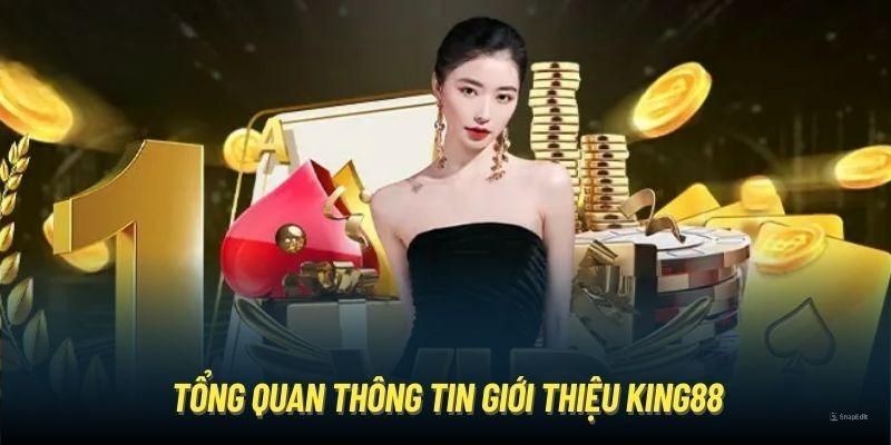 gioi thieu ve nha cai king88